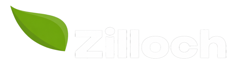 Zilloch Energy logo